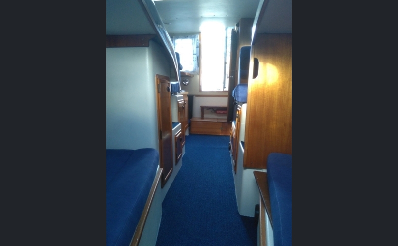 Bella Falcon 26-kuva-6